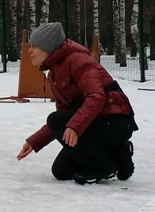 Фотография № 176343