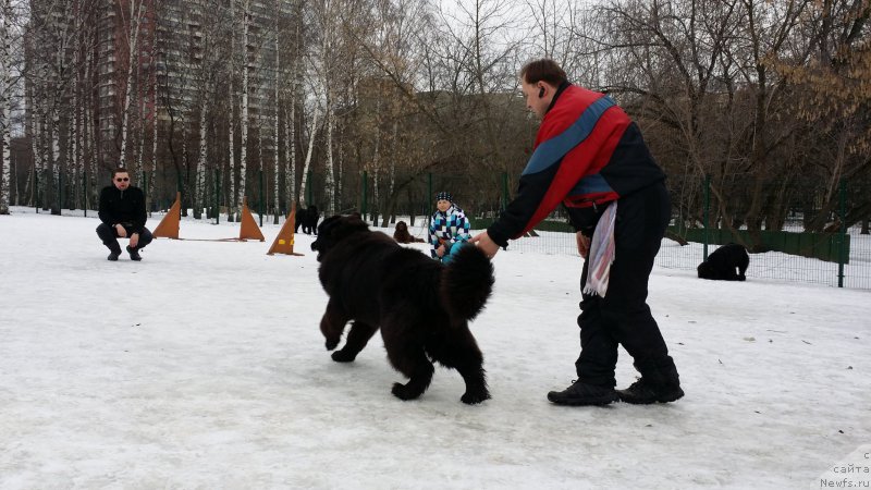 Фотография № 176345