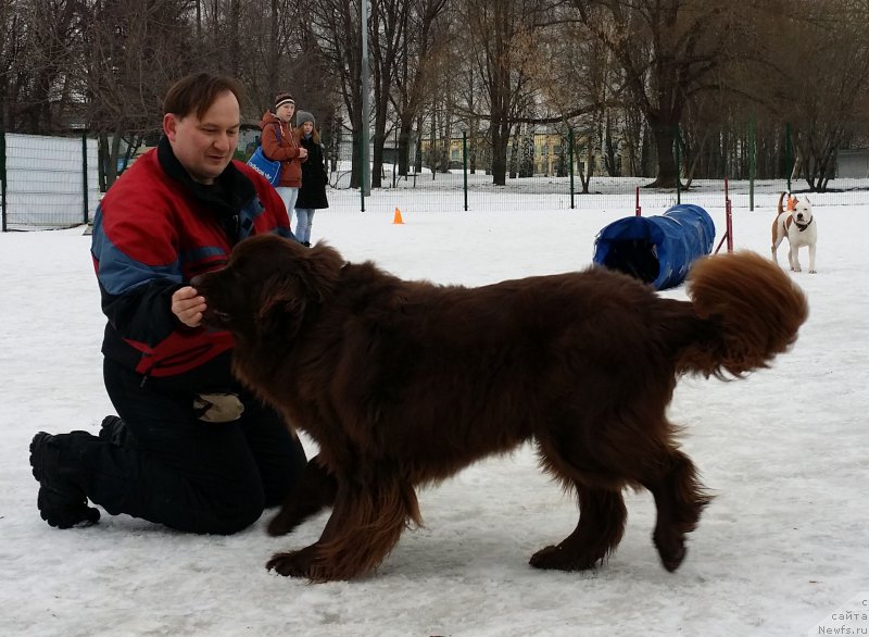 Фотография № 176354