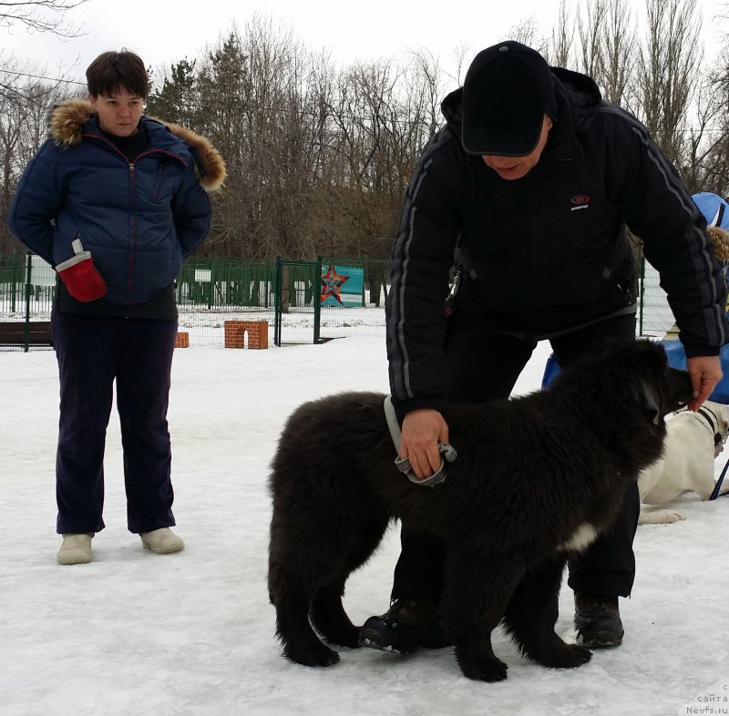 Фотография № 176356