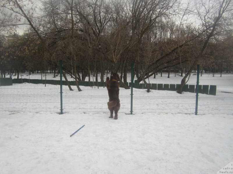 Фотография № 176370