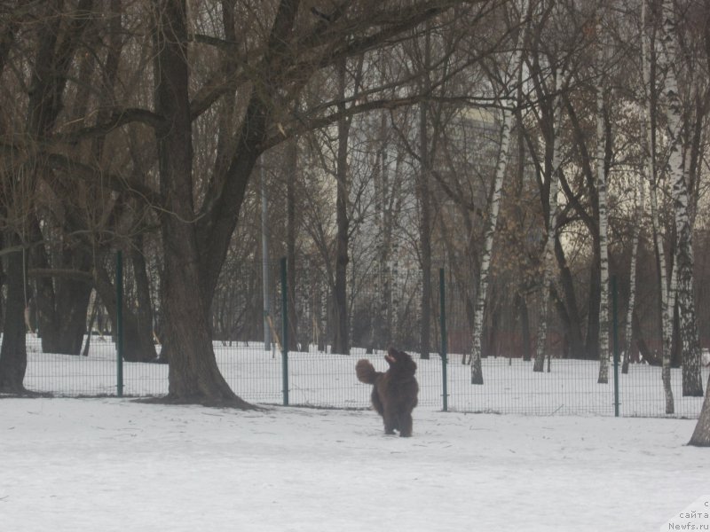 Фото: Natal'ya Smazchikova (Наталья Смазчикова)