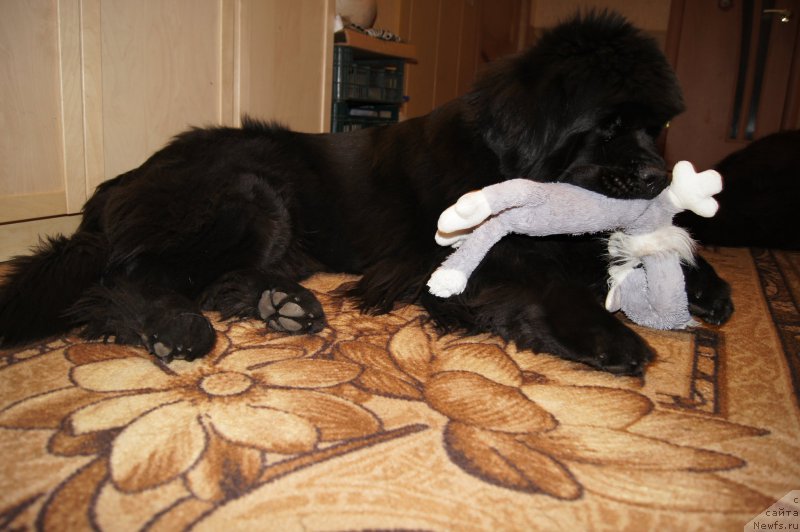 Фото: Нам 3 года:)