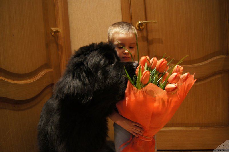 Фотография № 176384