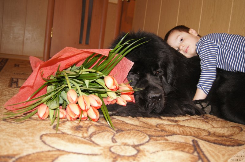 Фотография № 176385