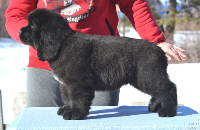 Фото: Акватория Келвин Даллас