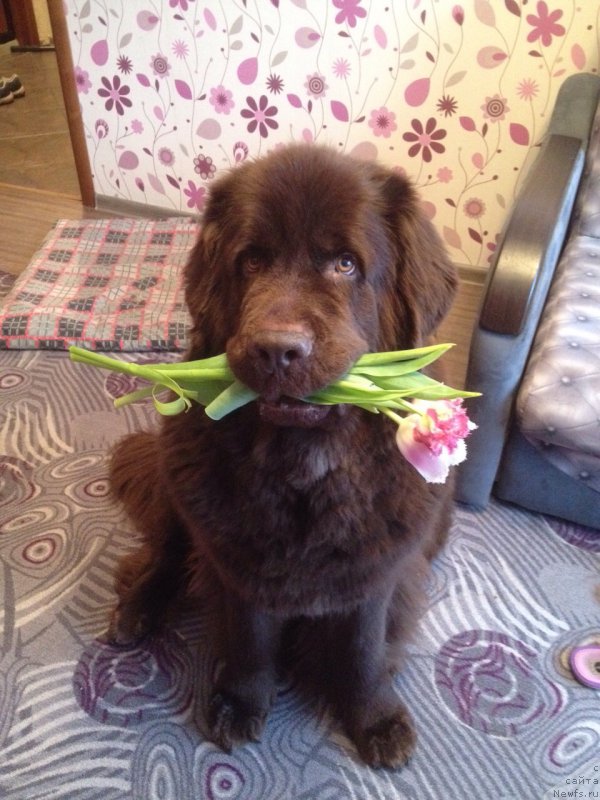 Фотография № 176398