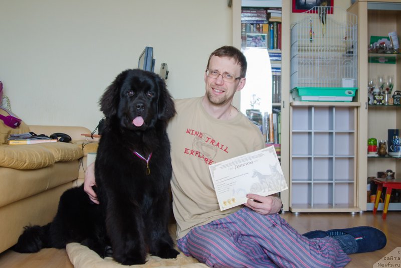 Фото: ньюфаундленд Hilda Fulfillment of Dreams Black Legend (Хилда Фулфилмент оф Дреамс Блак Легенд)