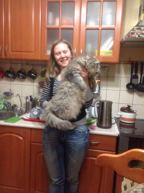 Фотография № 176471