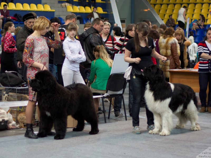 Фотография № 176518