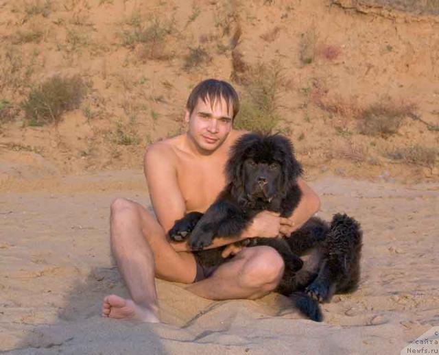 Фото: Maksim Kanunnikov (Максим Канунников), ньюфаундленд Super Premium Vashington (Супер Премиум Вашингтон)