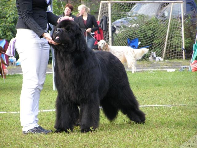 Фотография № 17653