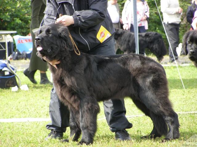 Фотография № 17656