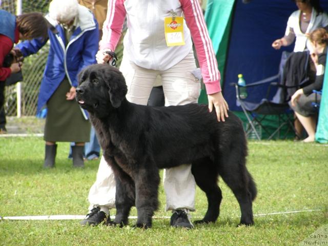 Фотография № 17657