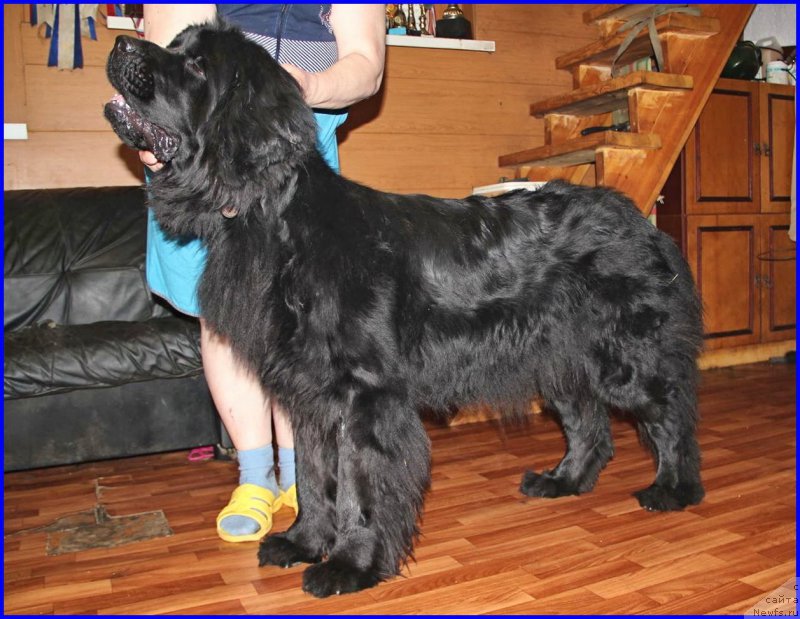 Фотография № 176574