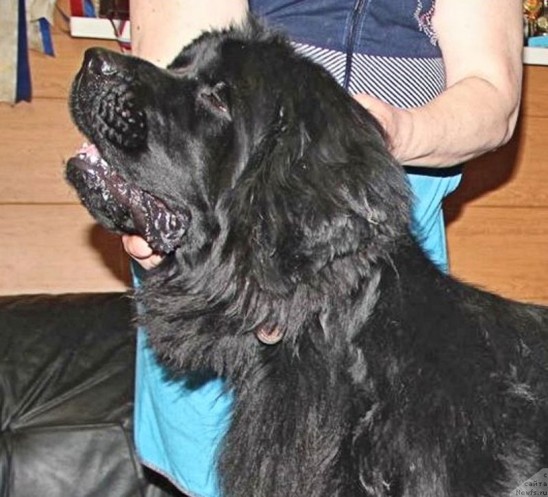 Фотография № 176575