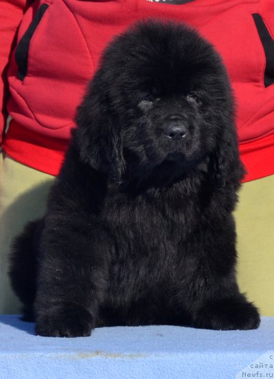 Фото: Акватория Келвин Динамика