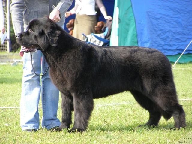 Фотография № 17659