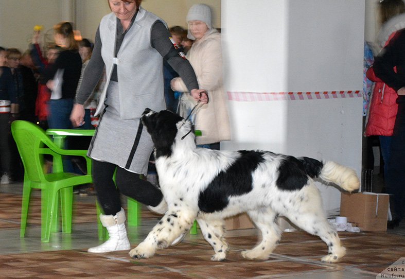 Фотография № 176592