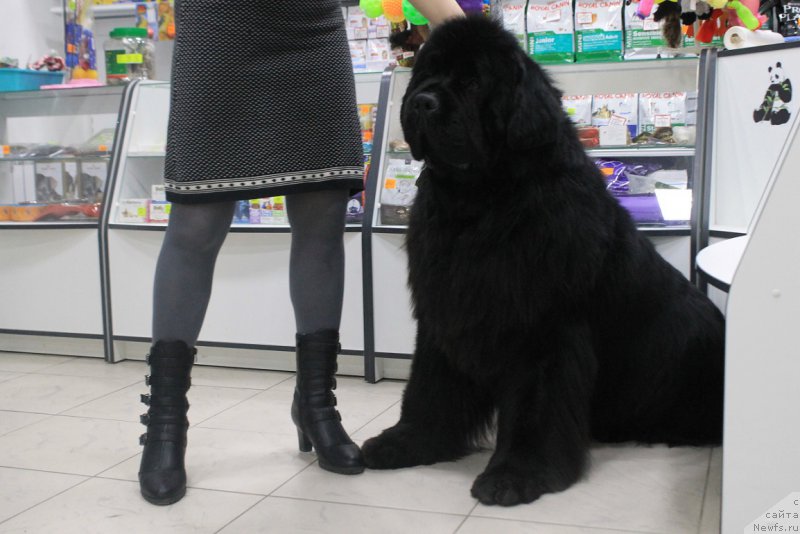 Фотография № 176599