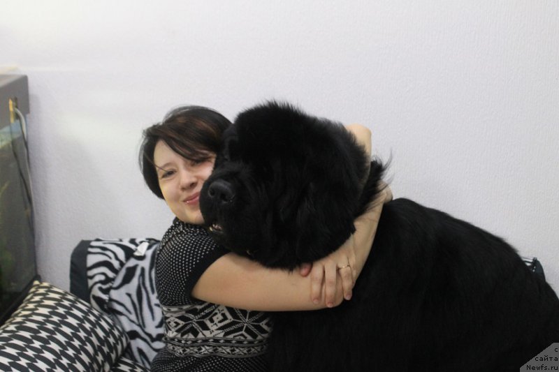 Фотография № 176601