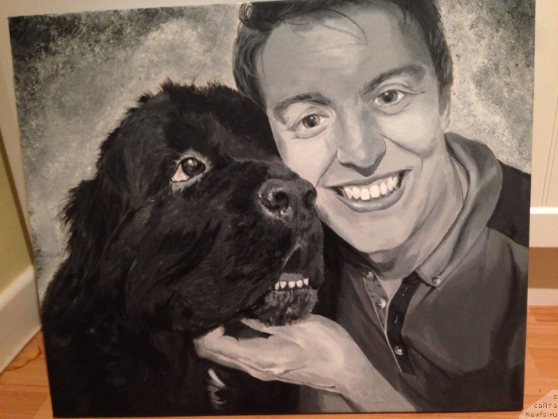 Фотография № 176618