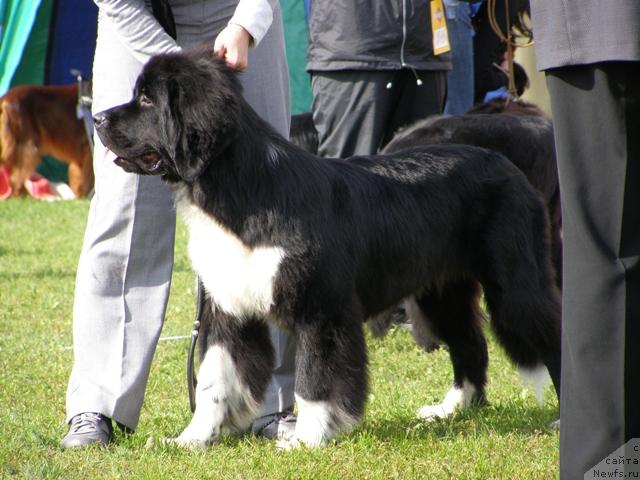 Фотография № 17662