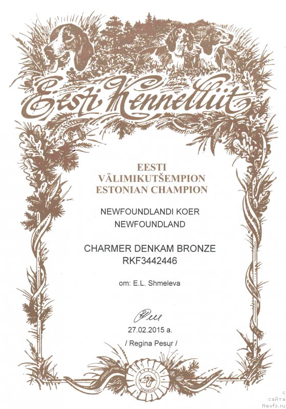 Фото: ньюфаундленд Charmer Denkam Bronze (Чармер Денкам Бронз)