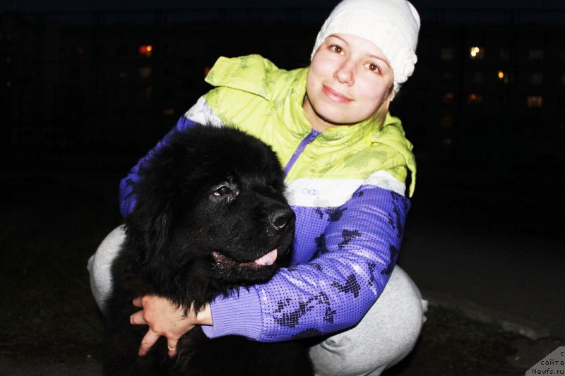 Фотография № 176642