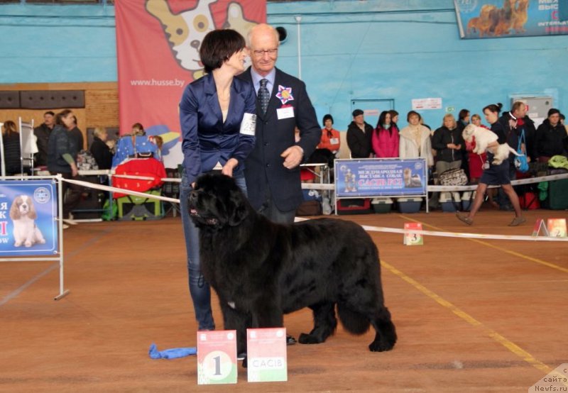 Фотография № 176651