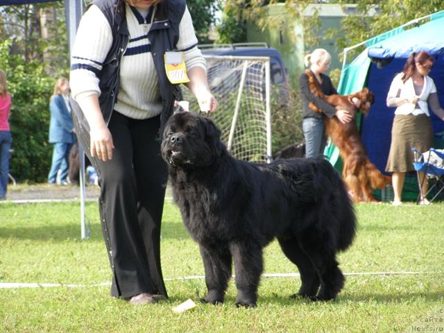 Фотография № 17666