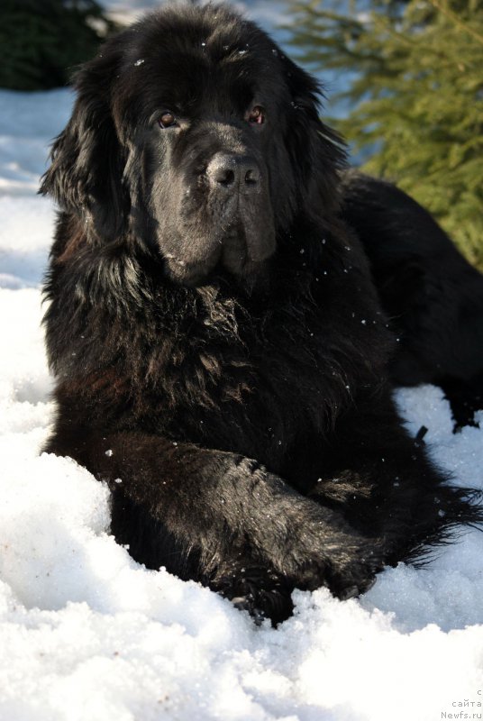 Фотография № 176666