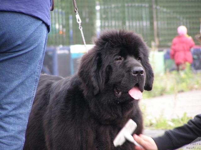 Фотография № 17667