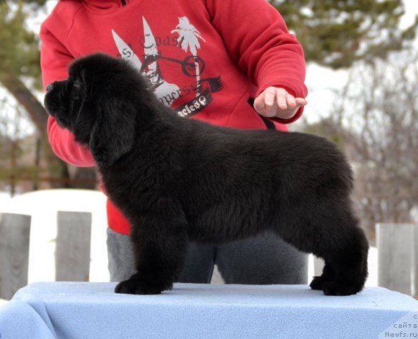 Фото: Акватория Келвин Дискавери