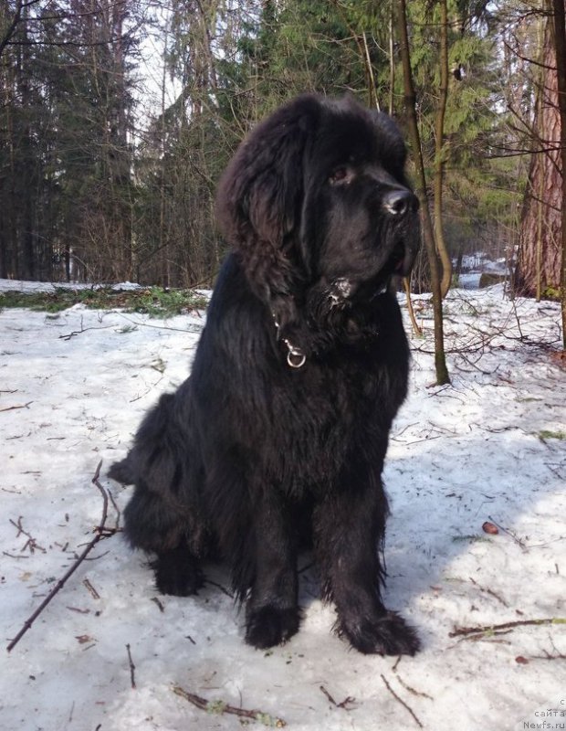 Фотография № 176684