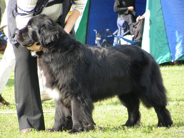 Фотография № 17669