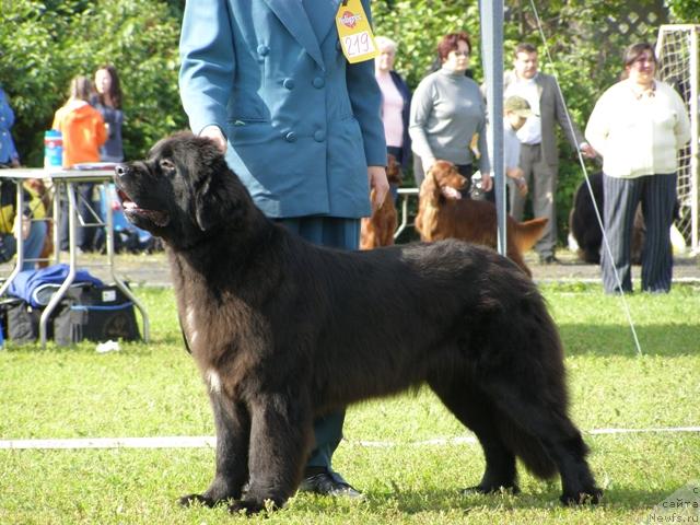 Фотография № 17670