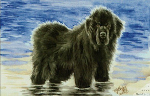 Фотография № 176703