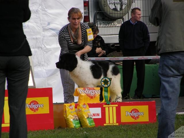 Фотография № 17671