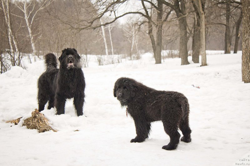 Фотография № 176710