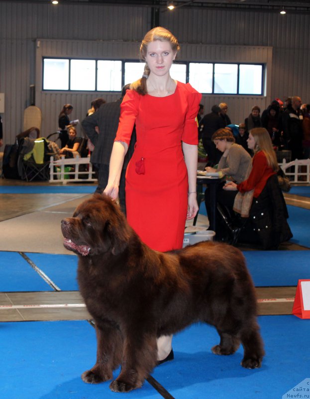 Фотография № 176731