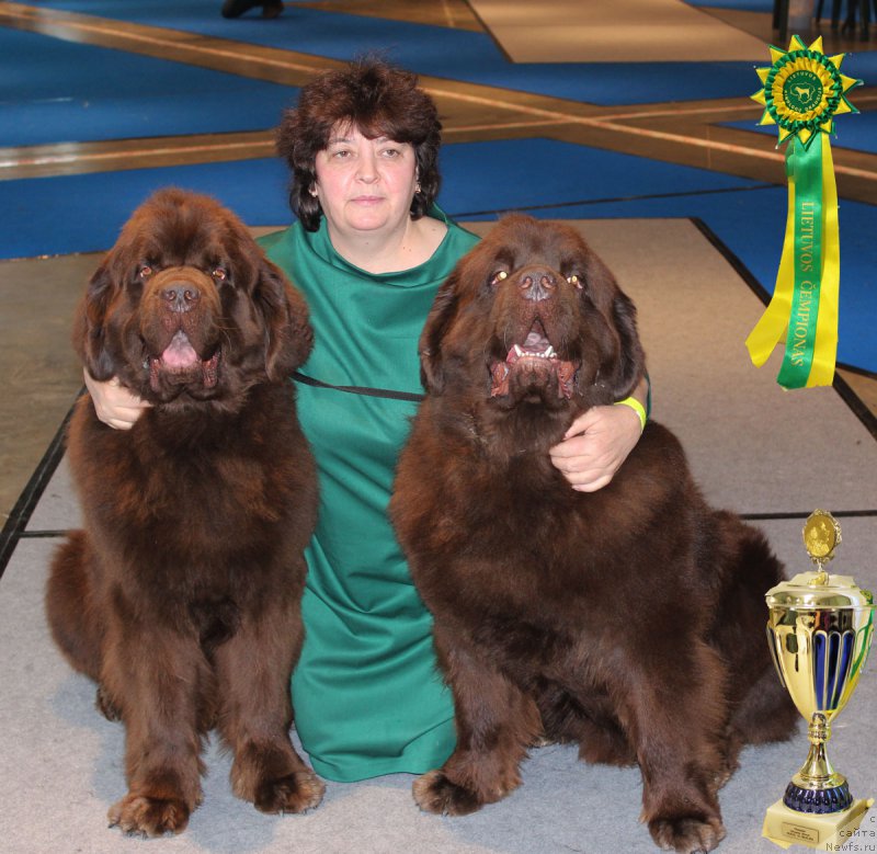 Фото: ньюфаундленд Charli The Best Helfi Pel (Чарли Де Бест Хелфи Пэл), Elena SHmeleva (Елена Шмелева), ньюфаундленд Charmer Denkam Bronze (Чармер Денкам Бронз)