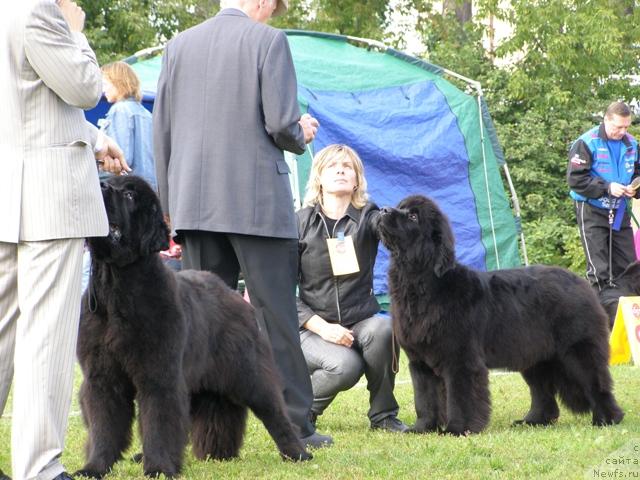 Фотография № 17674