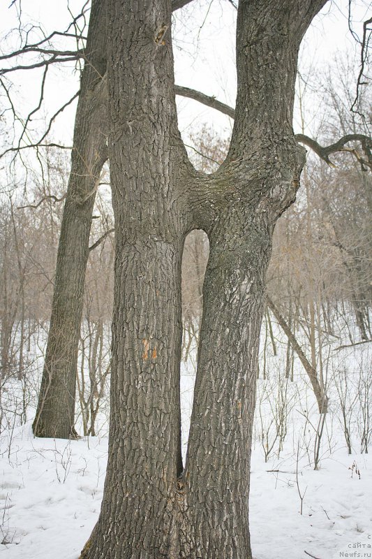 Фотография № 176741