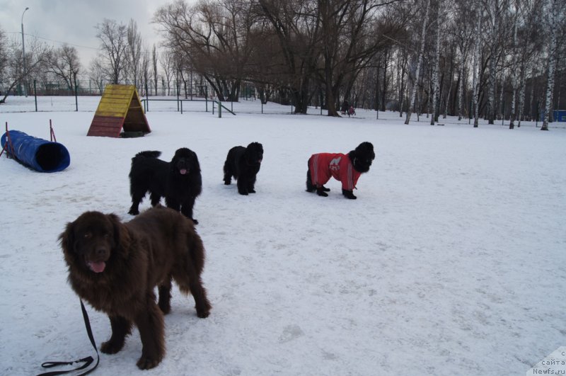 Фотография № 176752