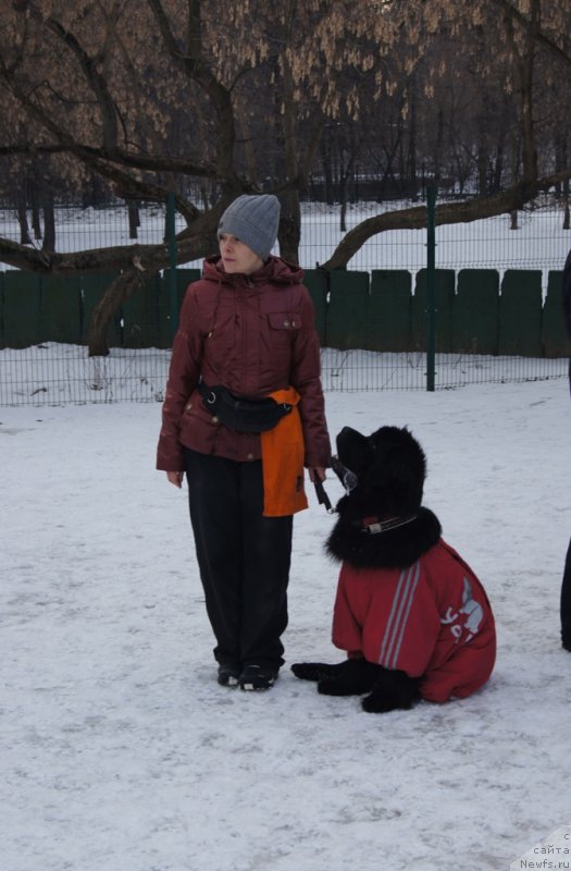 Фото: Larisa Kutina (Лариса Кутина), ньюфаундленд Belkonder-Club Ugli-Boogli (Белкондер-Клаб Угли-Бугли)