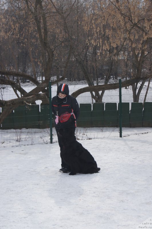 Фотография № 176759