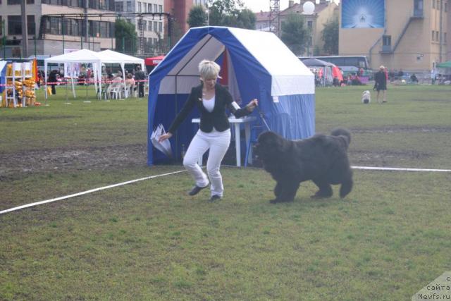 Фотография № 17676