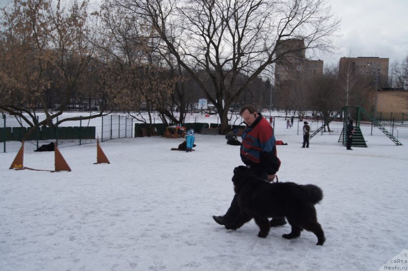 Фотография № 176763