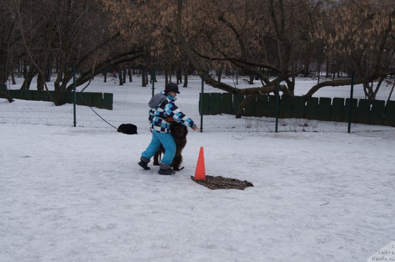 Фотография № 176768